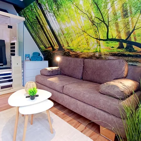 Relax-ferienhaus Faulenzia Am Twistesee Mit Infrarotsauna - Inkl Waesche - Ausstattung Macht Den Unterschied