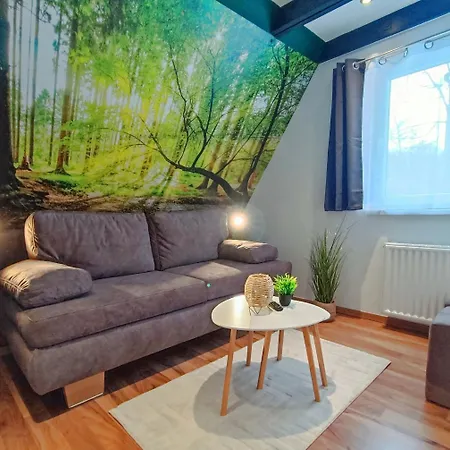 Vakantiehuis Relax-ferienhaus Faulenzia Am Twistesee Mit Infrarotsauna - Inkl Waesche - Ausstattung Macht Den Unterschied *
