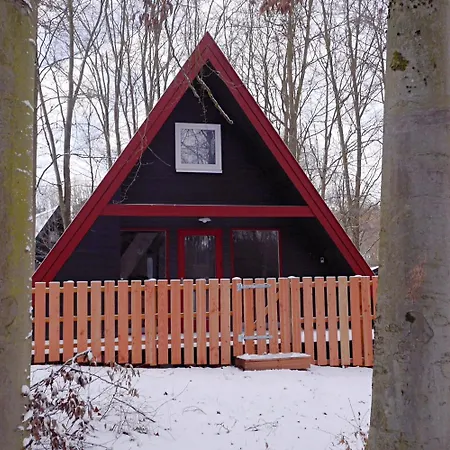 Vakantiehuis Relax-ferienhaus Faulenzia Am Twistesee Mit Infrarotsauna - Inkl Waesche - Ausstattung Macht Den Unterschied