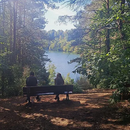 Relax-ferienhaus Faulenzia Am Twistesee Mit Infrarotsauna - Inkl Waesche - Ausstattung Macht Den Unterschied Vakantiehuis