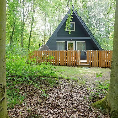 Relax-ferienhaus Faulenzia Am Twistesee Mit Infrarotsauna - Inkl Waesche - Ausstattung Macht Den Unterschied Casa vacanze Bad Arolsen